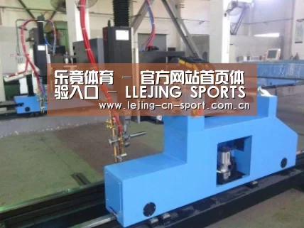 产品名称十六